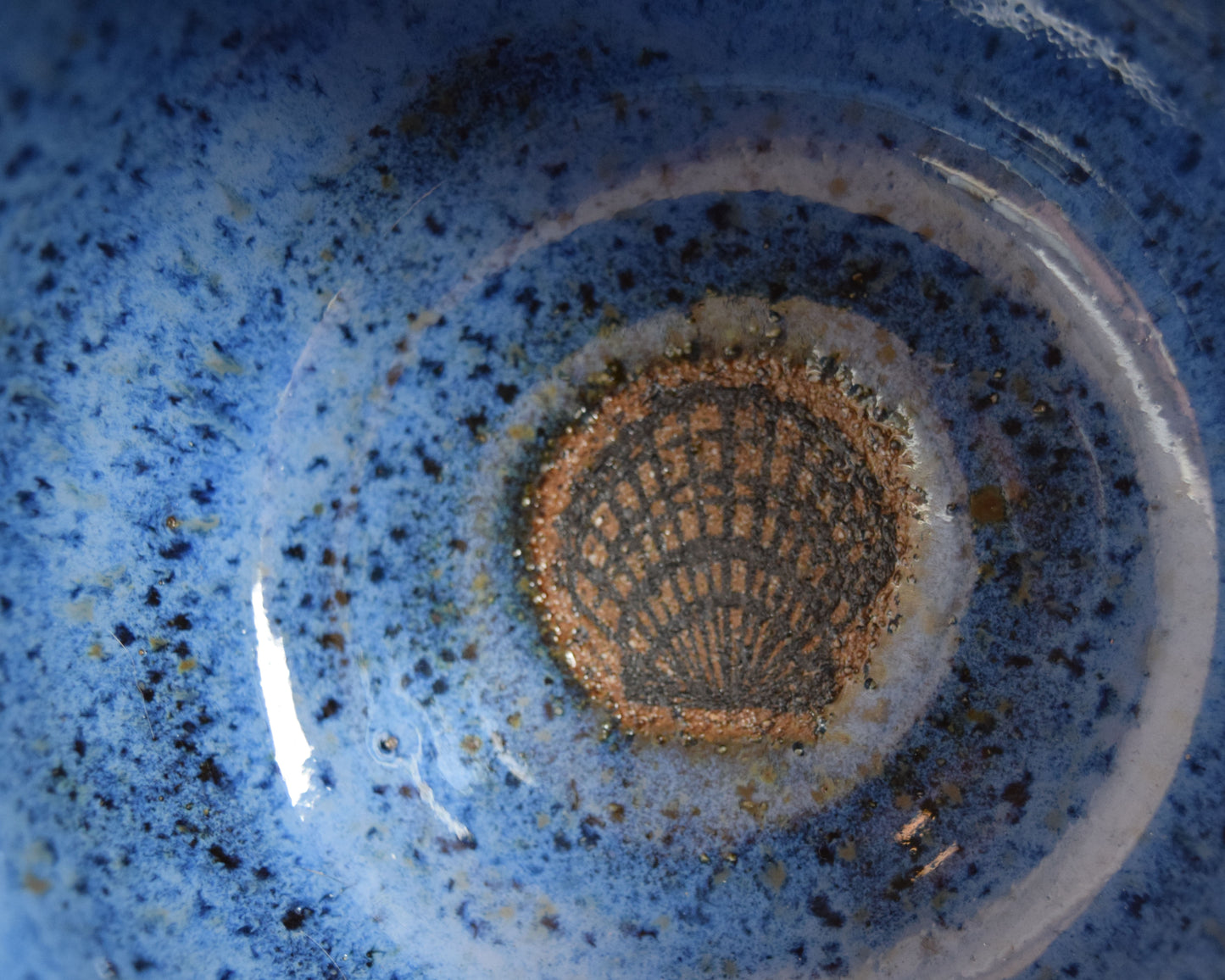 Blue Surprise Shell Wine Cup Set