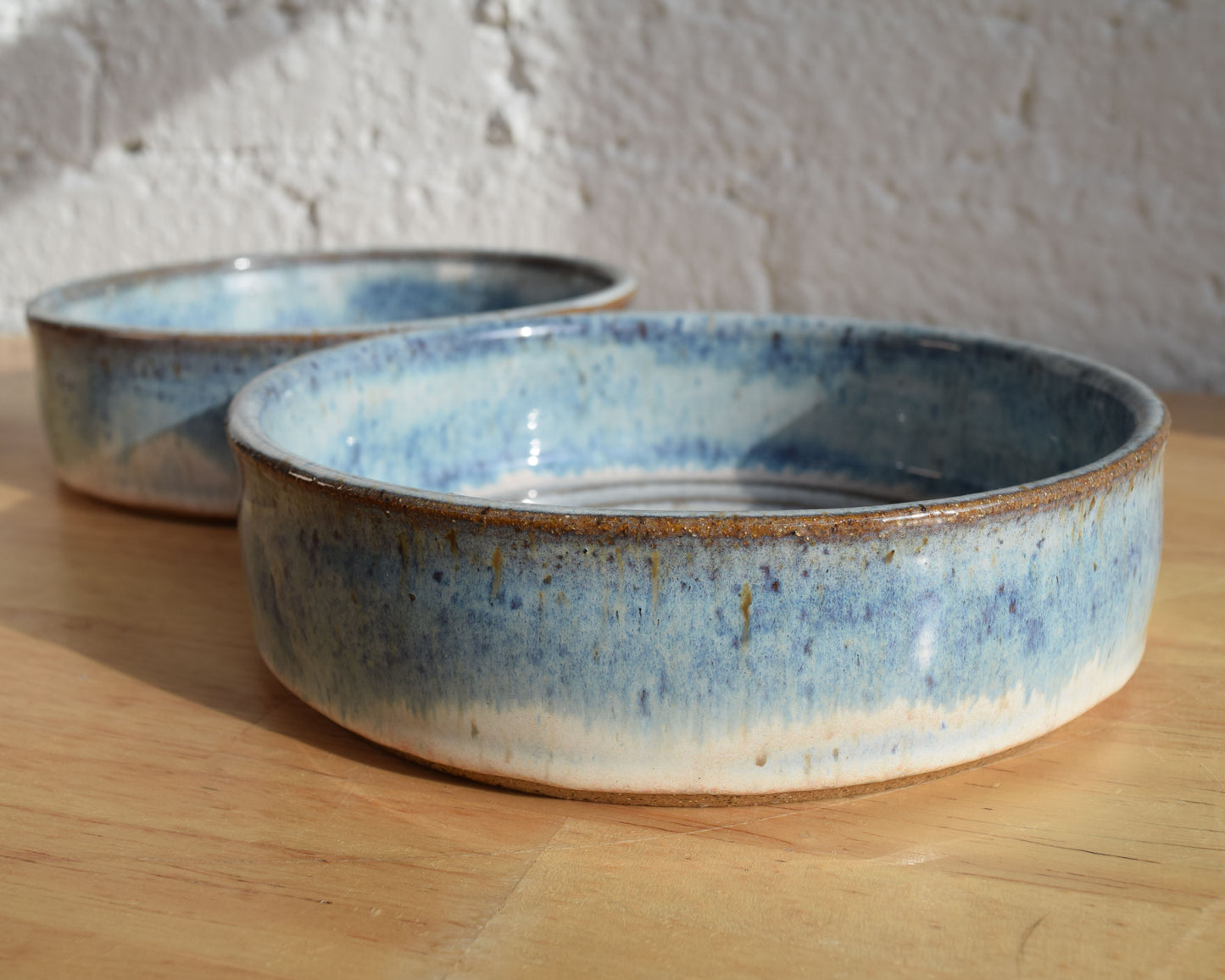 Blue & White Dog Bowl Set